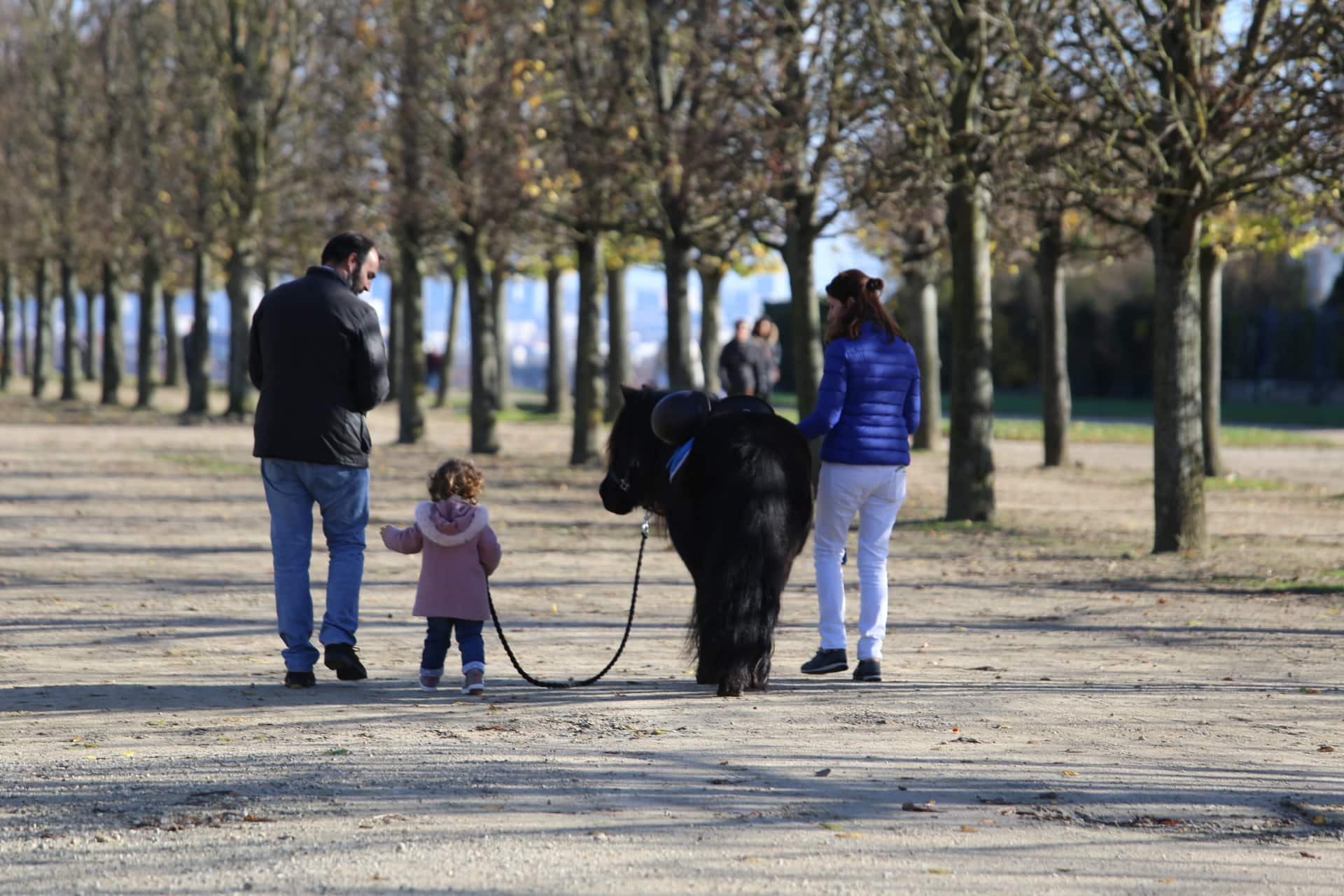 Toute l&rsquo;année, à partir de 18 mois, réservez votre poney pour une balade en famille