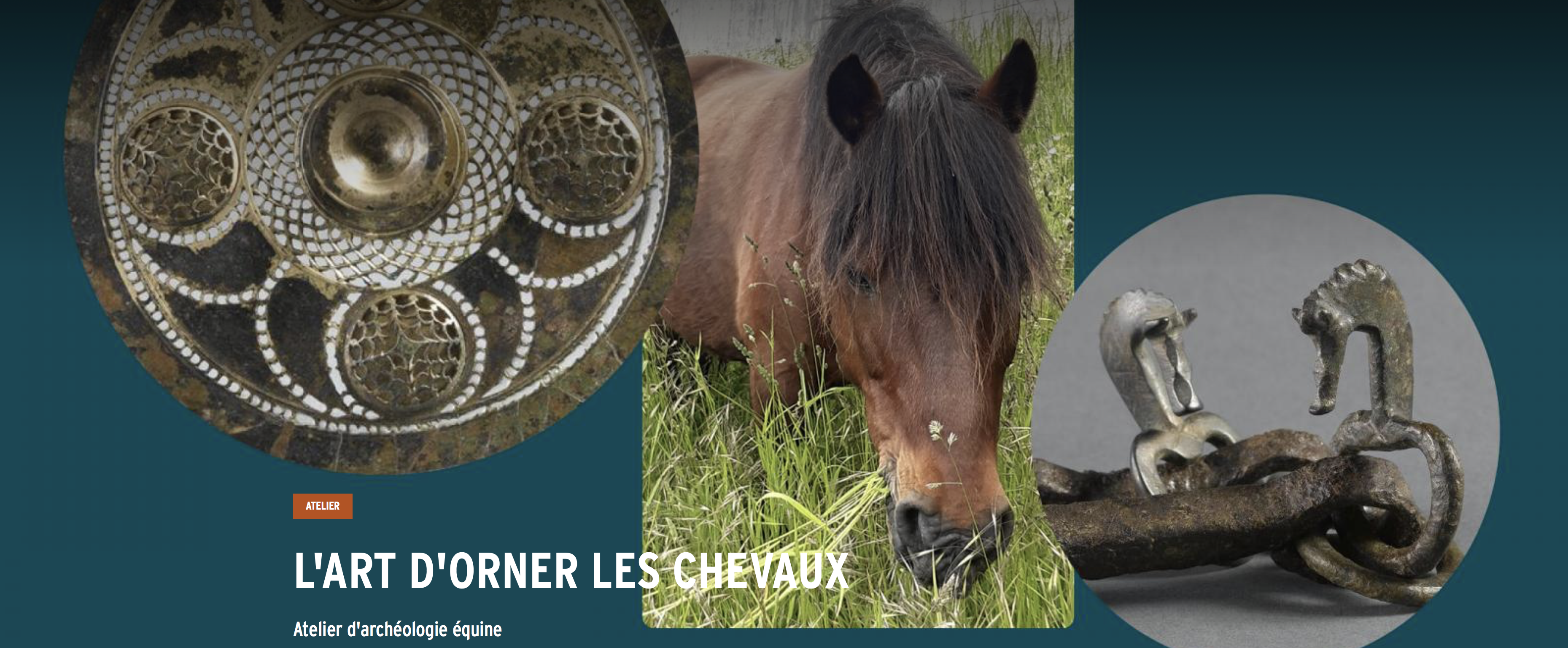 Atelier d&rsquo;archéologie équine : l&rsquo;art d&rsquo;orner les chevaux
