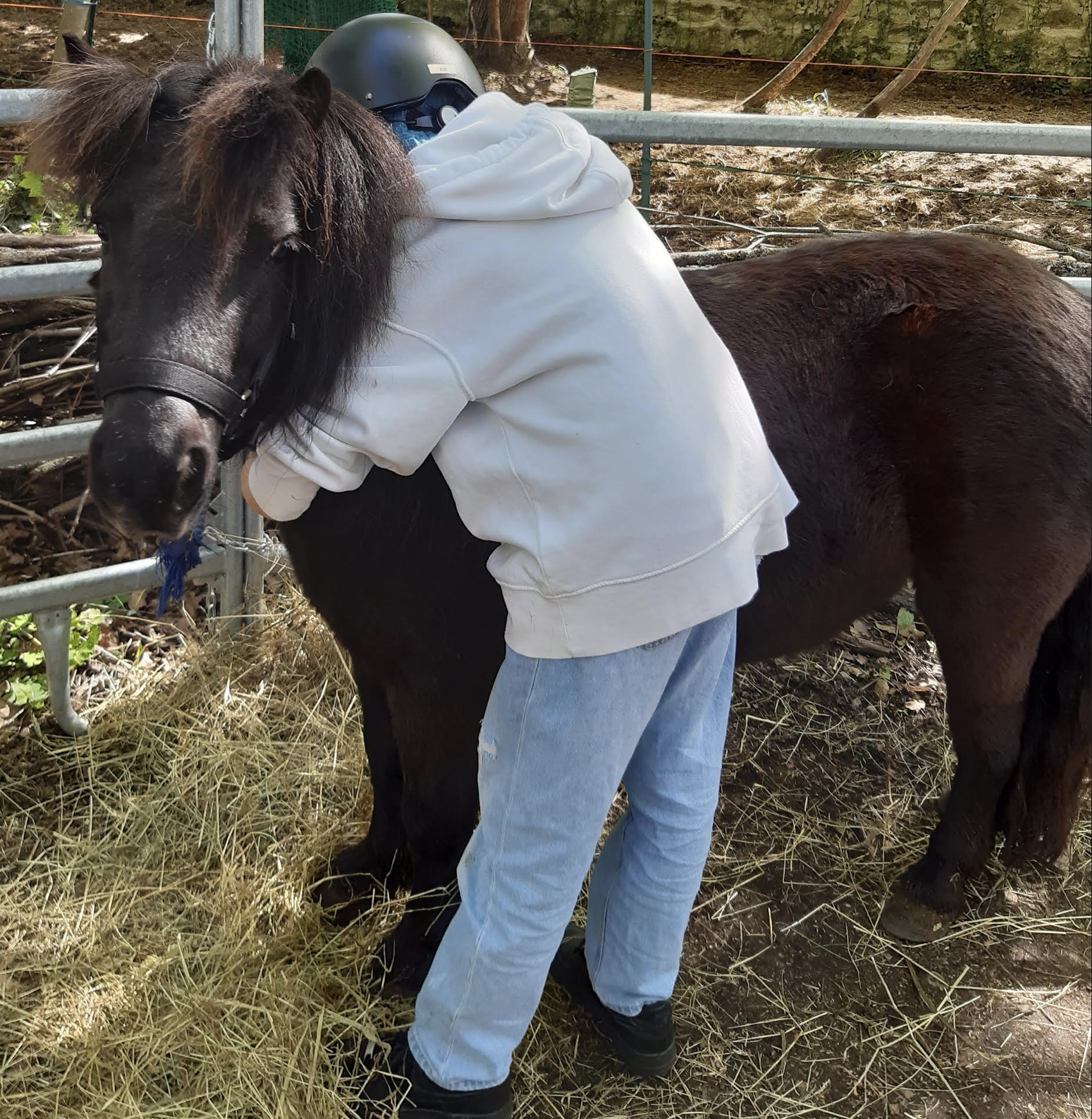 Création d&rsquo;un fonds de solidarité pour la médiation équine en pleine nature (équithérapie et équitation adaptée)