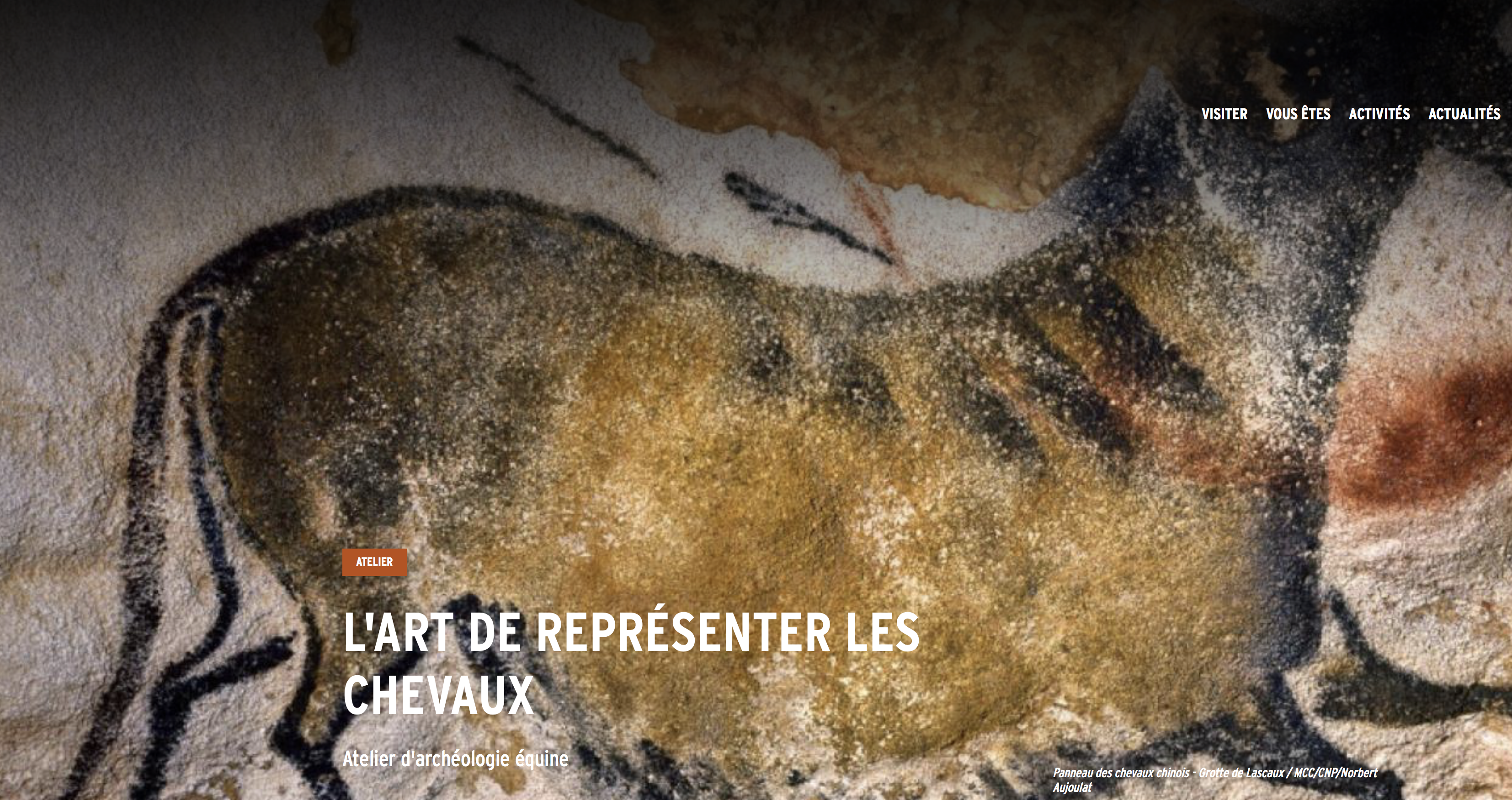 Atelier d’archéologie équine : l’art de représenter les chevaux