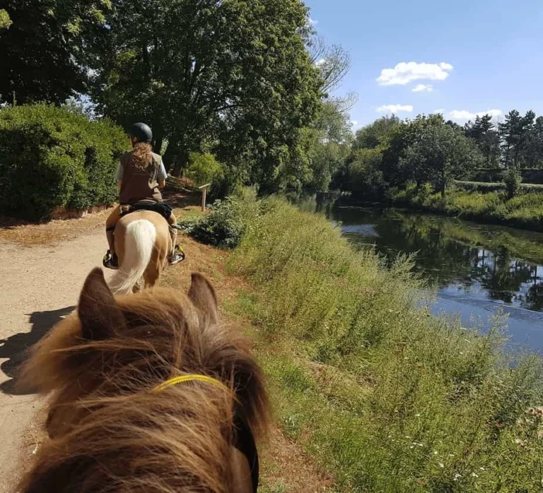 balade-islandais-etang